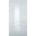 Tie Bag - 6in.x35in. - Clear